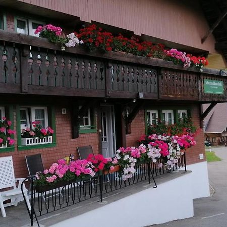 Appartamento Schwarzwaldhaus Kathi Todtmoos Esterno foto