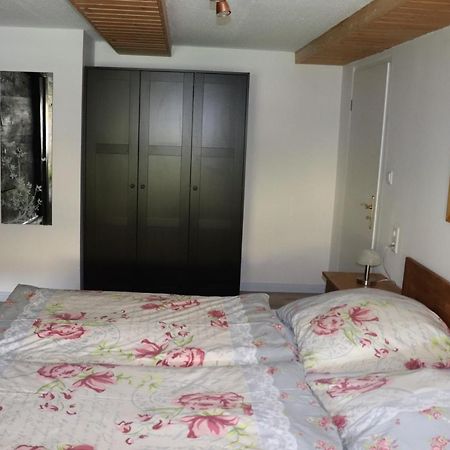 Appartamento Schwarzwaldhaus Kathi Todtmoos Esterno foto