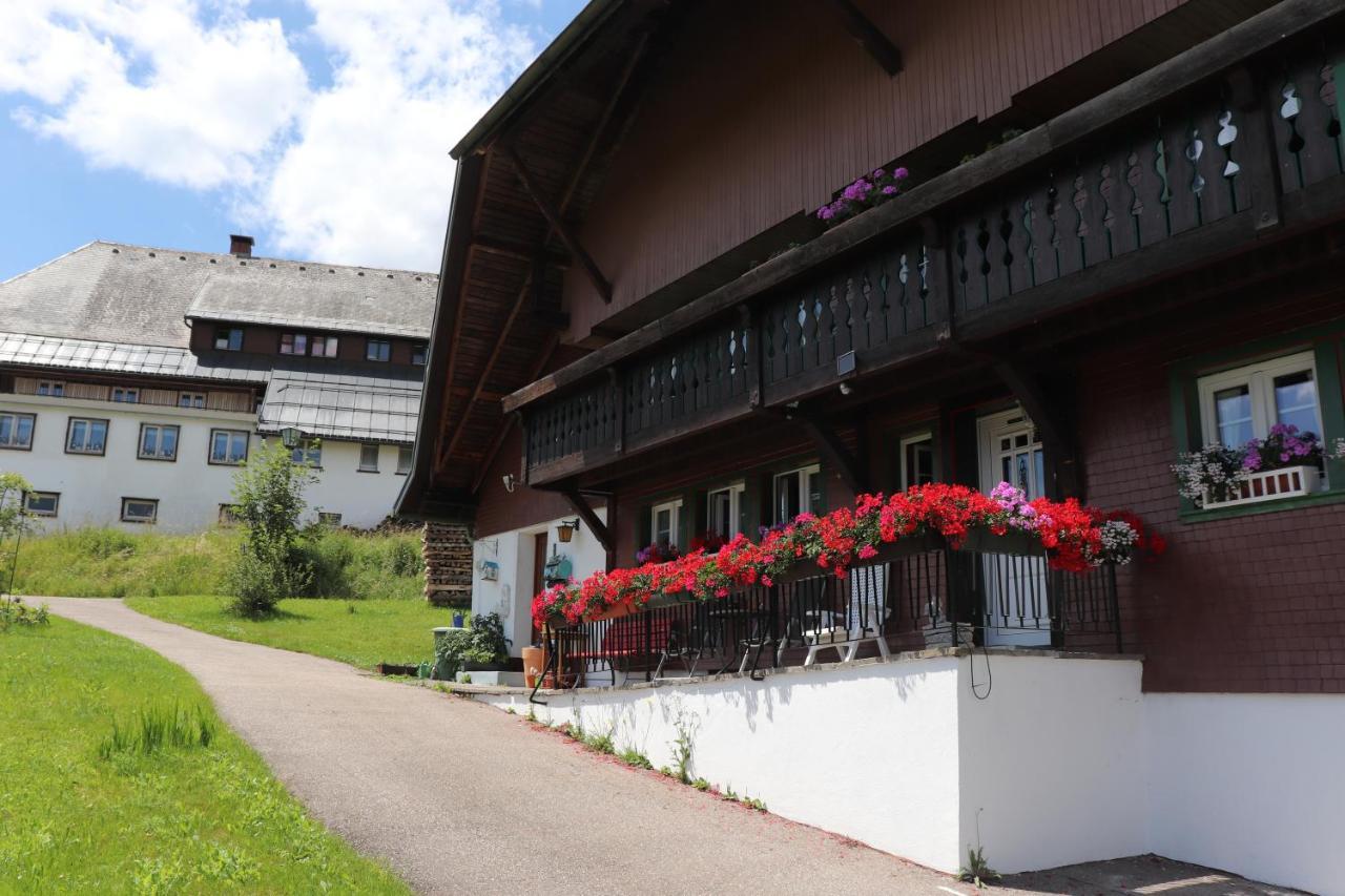 Appartamento Schwarzwaldhaus Kathi Todtmoos Esterno foto