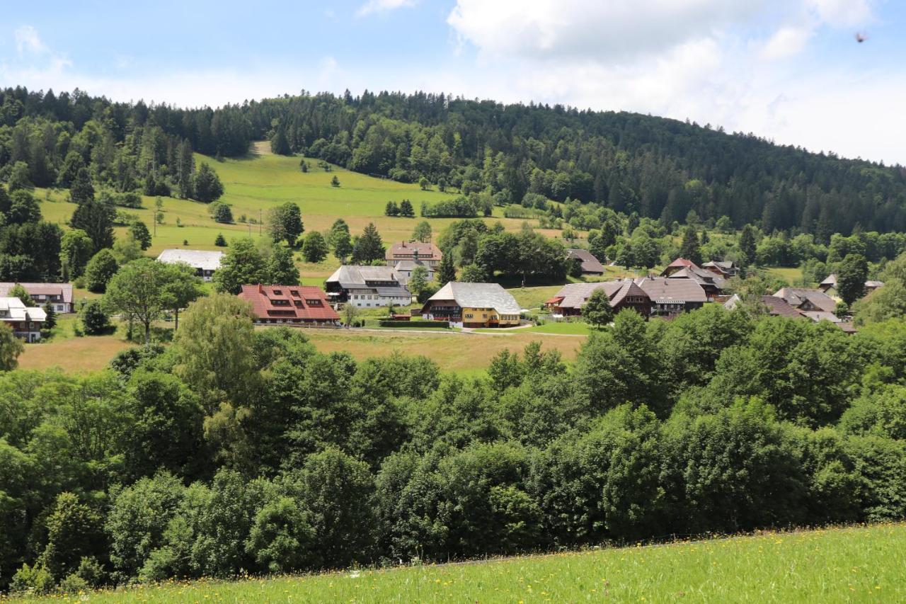 Appartamento Schwarzwaldhaus Kathi Todtmoos Esterno foto