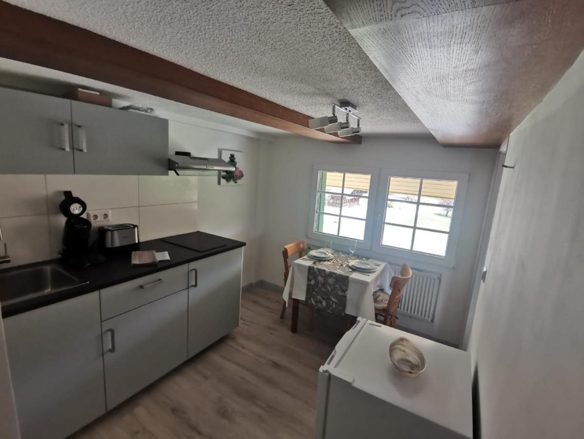 Appartamento Schwarzwaldhaus Kathi Todtmoos Esterno foto