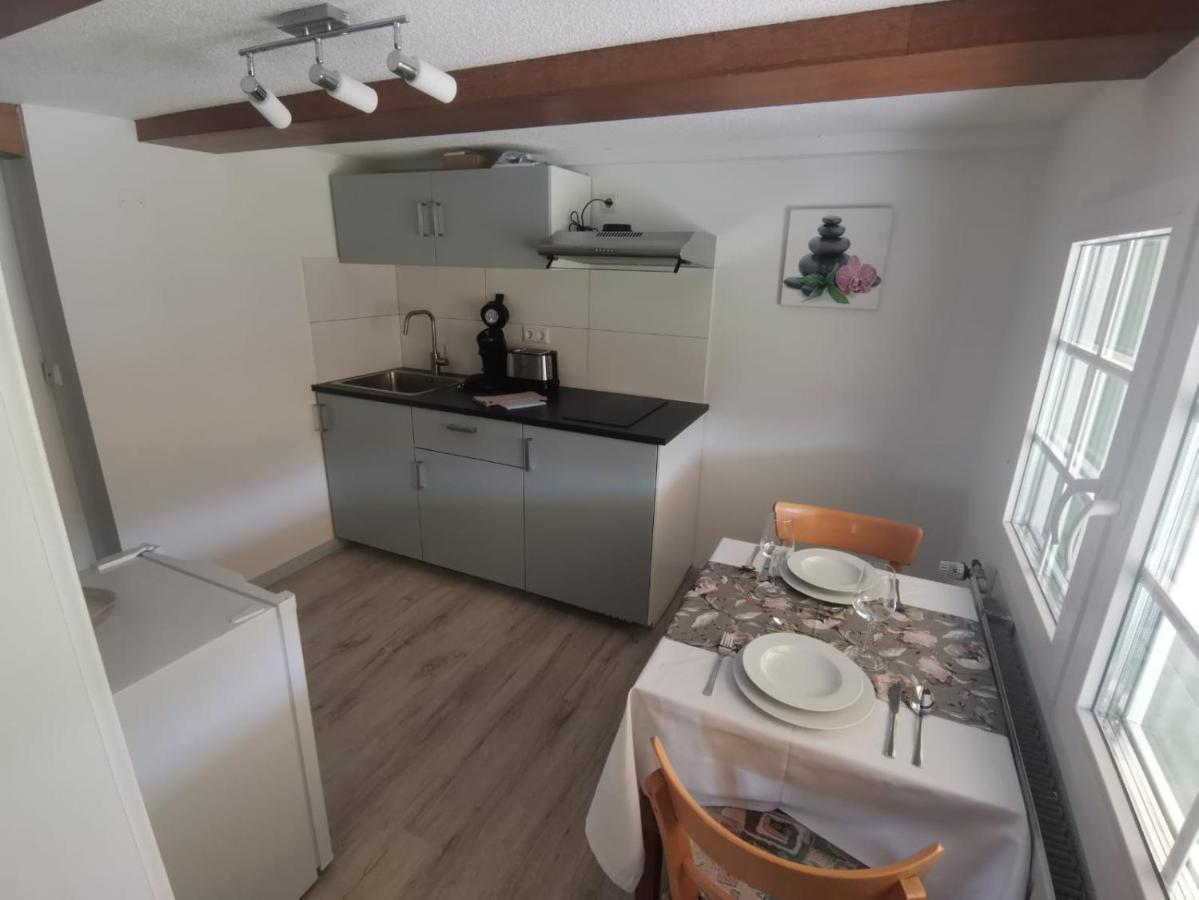 Appartamento Schwarzwaldhaus Kathi Todtmoos Esterno foto