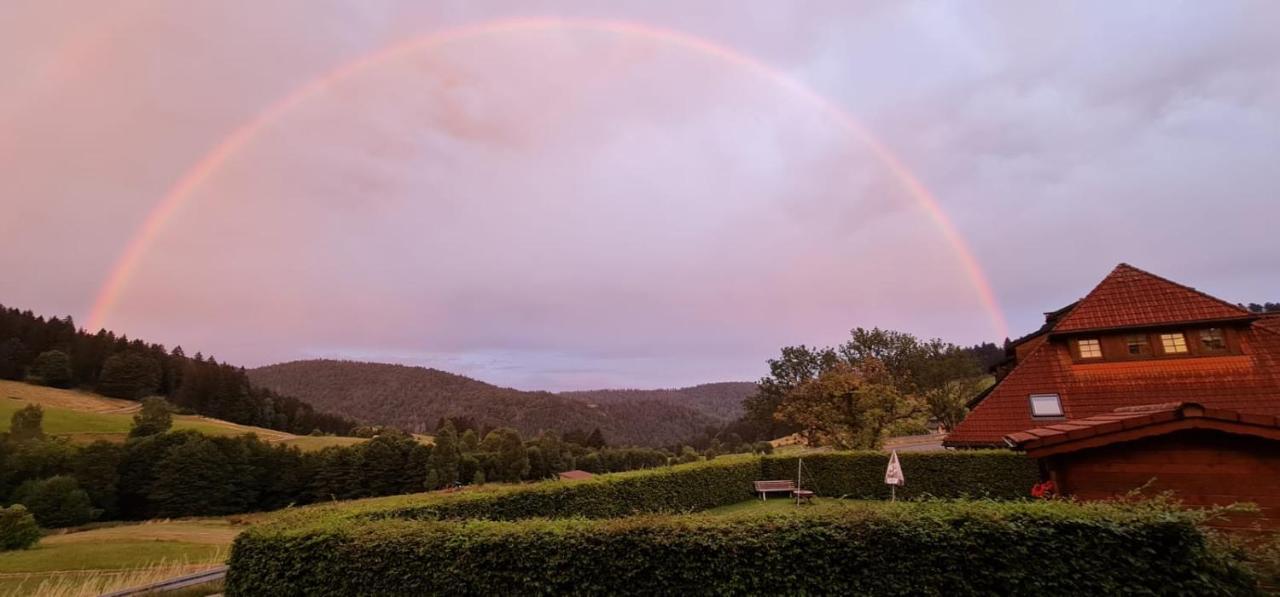Appartamento Schwarzwaldhaus Kathi Todtmoos Esterno foto