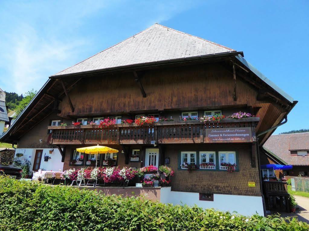 Appartamento Schwarzwaldhaus Kathi Todtmoos Esterno foto