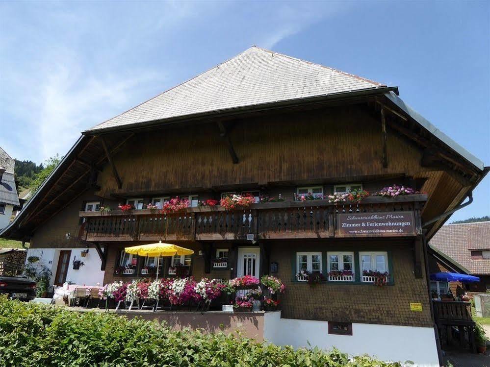 Appartamento Schwarzwaldhaus Kathi Todtmoos Esterno foto